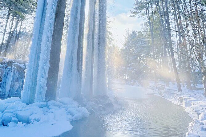 Eobi Ice Wall & Nami Island & Morning Calm Light Festival - Who should book this tour (and who should skip it)