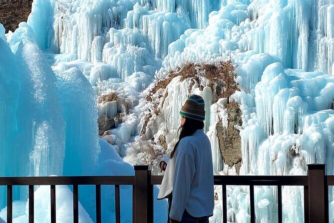 Eobi Ice Wall & Nami Island & Morning Calm Light Festival - Nami Island ferry time and winter strolling comfort
