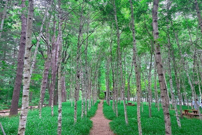 Eobi+Nami+Hanbok Tour with Rail Bike or Strawberry Option - Nami Island by ferry: calm walking time and easy cultural vibes