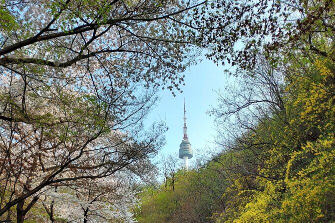 Essence of Seoul, 100% Private Full Day City Tour - Price and Logistics: What You’re Paying For at $470 Per Group
