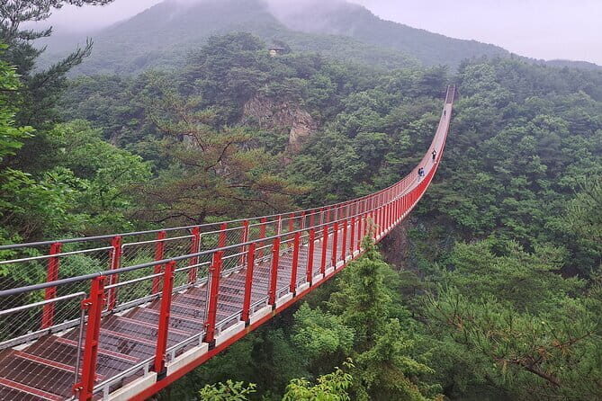 Explore DMZ from Seoul +(optional) Gondola/Red Suspension Bridge - Key highlights to know before you go