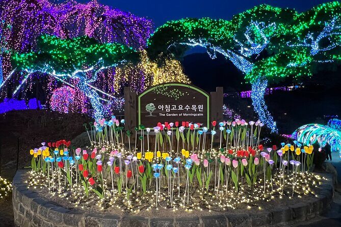 Four Seasons of Nami Island with Garden of Morning Calm Tour - Nami Island in real life: a half-moon walk from Seoul