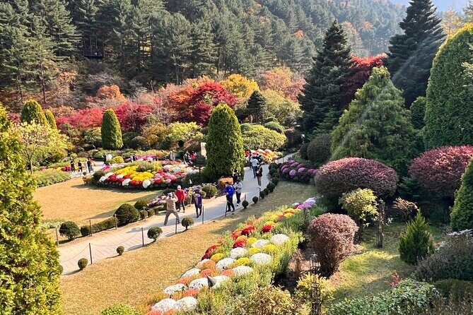 Four Seasons of Nami Island with Garden of Morning Calm Tour - Garden of Morning Calm: a real garden you can walk like a film set