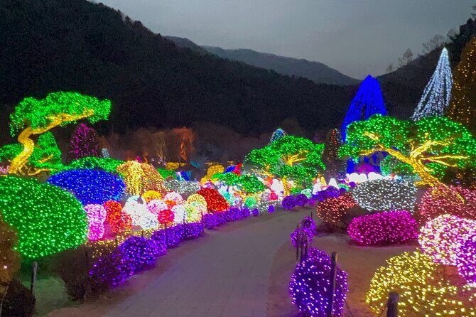 Four Seasons of Nami Island with Garden of Morning Calm Tour - Lunch and ginseng shopping: where the details matter