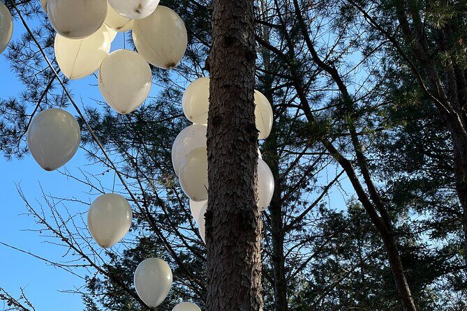 Four Seasons of Nami Island with Garden of Morning Calm Tour - Is it worth $88? The value math that matters