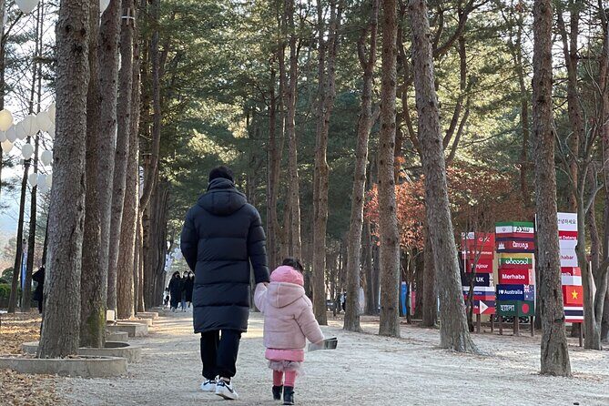 Four Seasons of Nami Island with Garden of Morning Calm Tour - Who this tour suits best (and who should think twice)