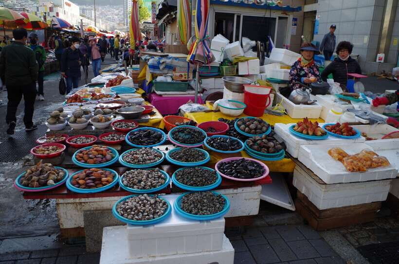 From Seoul: 5-Day Tour of Korea with UNESCO Sites - Key Points You’ll Actually Care About