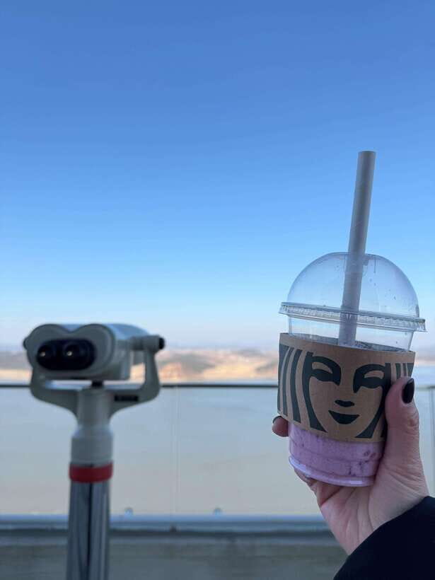 From Seoul: Aegibong Starbucks Observatory & DMZ View - Key highlights that make this trip worth your time