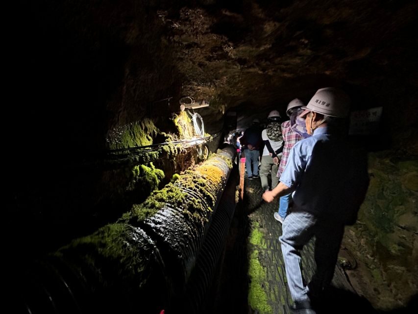 From Seoul: Cheorwon DMZ and 2nd Tunnel Tour with Lunch - What to Pack and What to Plan for (No Surprises)