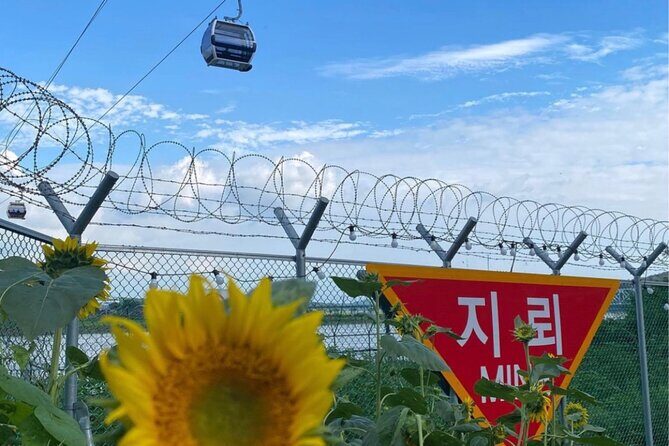 From Seoul: Cost-Benefit DMZ Shuttle Bus tour - Comfort and Clarity: English support, bus narration, and group size