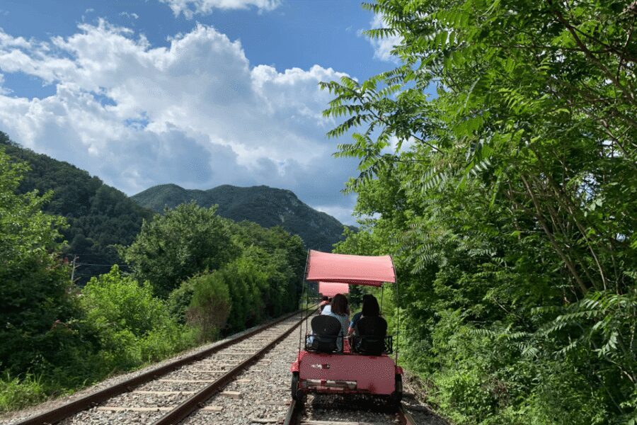 From Seoul: Full Day Trip to Alpaca Farm with Rail Bike - From Seoul to Gangwon: how the day stays on track