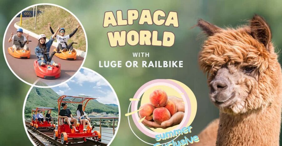 From Seoul: Full Day Trip to Alpaca Farm with Rail Bike - Small logistics that matter: shoes, meeting points, and the end of day