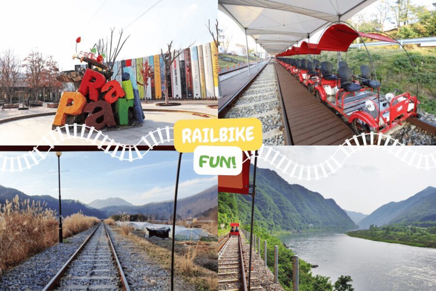 From Seoul: Full Day Trip to Alpaca Farm with Rail Bike - Alpaca World: more than alpacas (and why it’s worth your energy)