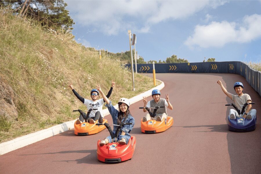 From Seoul: Full Day Trip to Alpaca Farm with Rail Bike - Gangchon Rail Park rail bike: the easy-downhill view run