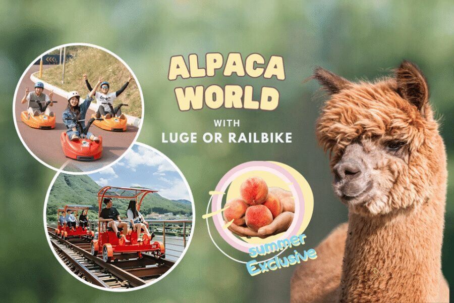 From Seoul: Full Day Trip to Alpaca Farm with Rail Bike - Price and value: what $59 actually buys you