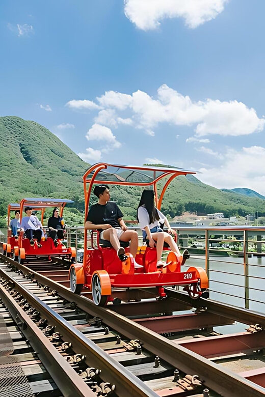 From Seoul: Full Day Trip to Alpaca Farm with Rail Bike - Who should book this trip (and who should skip it)