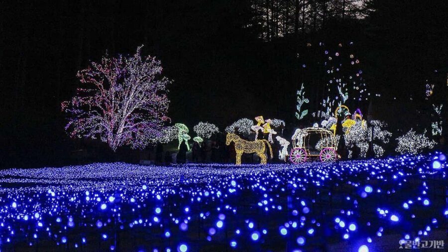 From Seoul: Hwacheon Ice Fishing and Lighting Festival Tour - Key highlights you should know