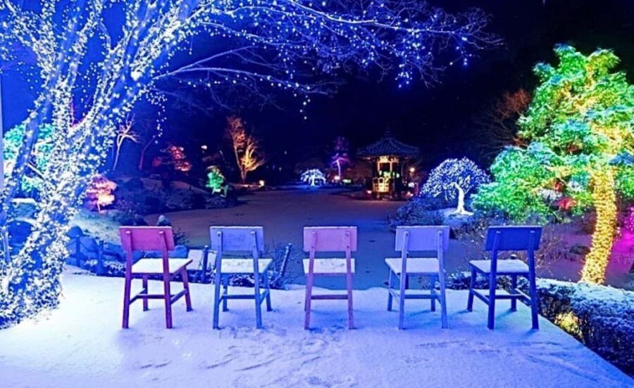 From Seoul: Hwacheon Ice Fishing and Lighting Festival Tour - A winter festival combo: ice-fishing by day, light-watching at night