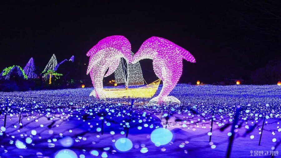From Seoul: Hwacheon Ice Fishing and Lighting Festival Tour - Hwacheon Sancheoneo Ice Festival: catching trout and riding winter thrills