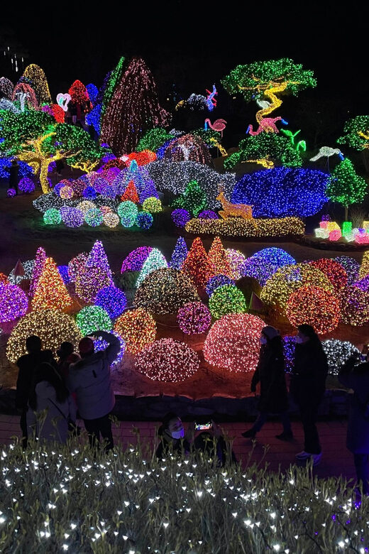 From Seoul: Hwacheon Ice Fishing and Lighting Festival Tour - Winter stamina tips: how to handle the cold and keep the day enjoyable