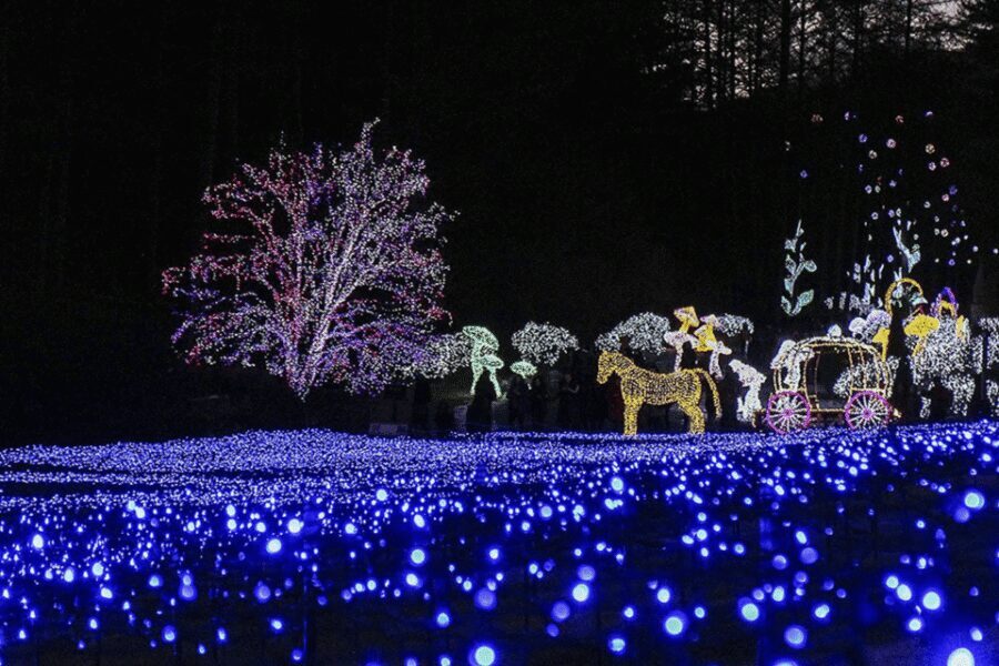 From Seoul: Hwacheon Ice Fishing and Lighting Festival Tour - Garden of Morning Calm: a winter-only light walk with thousands of lights