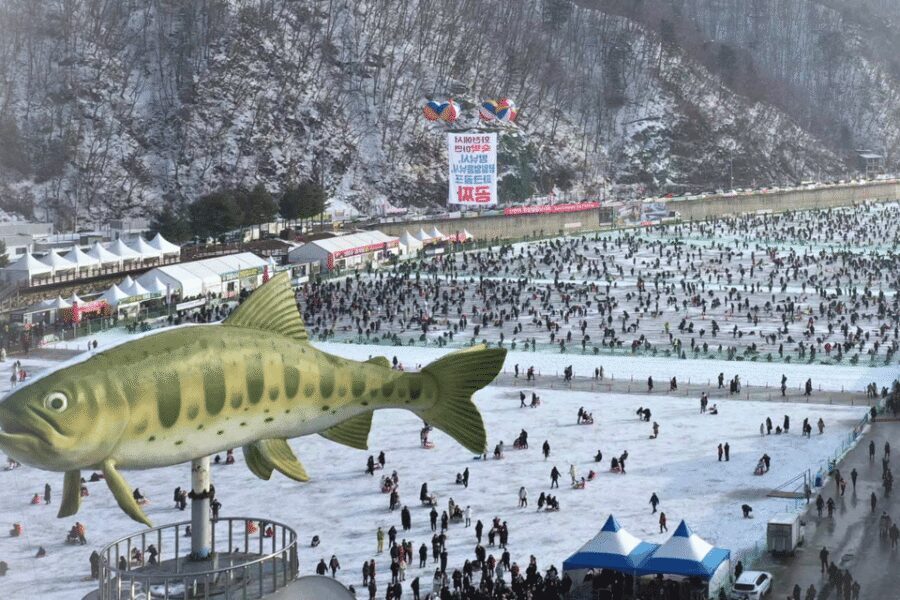 From Seoul: Hwacheon Ice Fishing and Lighting Festival Tour - Who this tour suits best (and who should choose differently)