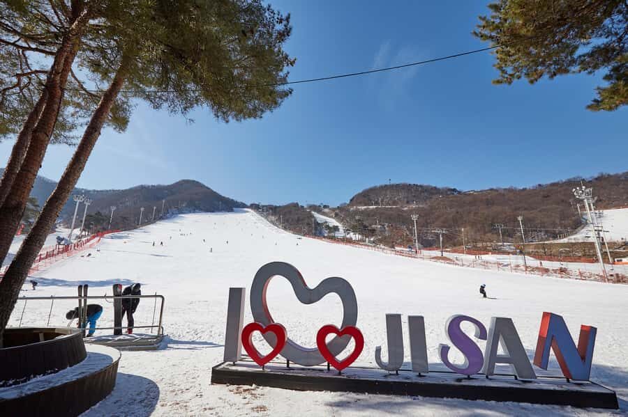 From Seoul: Korea Ski Tour - Jisan Forest Resort - Should You Book This Seoul-to-Jisan Ski Lesson Tour?