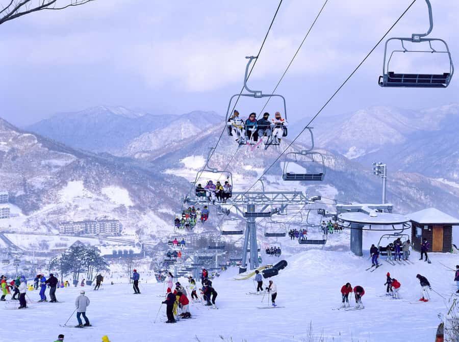 From Seoul: Korea Ski Tour - Jisan Forest Resort - Jisan Forest Resort: The Valley Ski Day That Makes First-Timers Comfortable