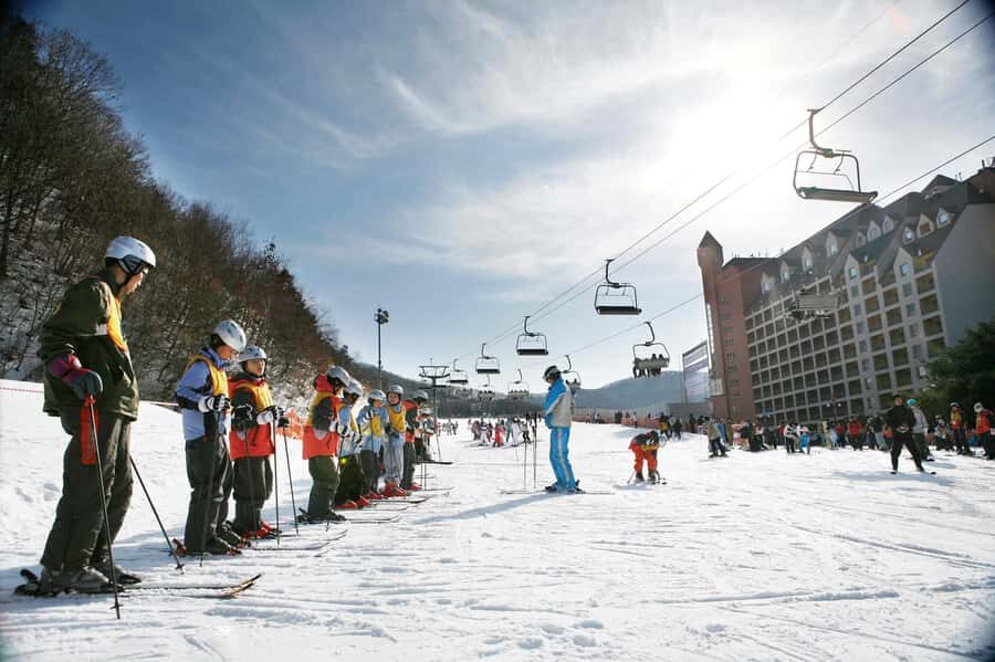 From Seoul: Korea Ski Tour - Jisan Forest Resort - Seoul to the Slopes: Pickup Times, One-Way Travel, and a Clear Daily Rhythm