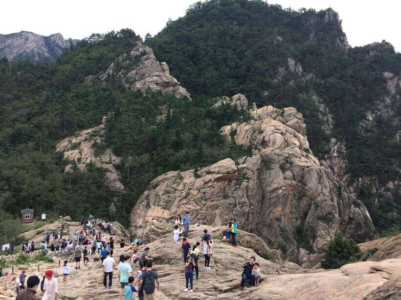 From Seoul: Korea Spring Cherry Blossom Day Tour - Seoraksan National Park: Hiking Time for Different Fitness Levels