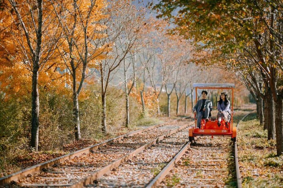 From Seoul: Nami Island, K-drama Garden & Rail Bike Day Tour - Garden of Morning Calm: flowers in season, winter lights in the evening