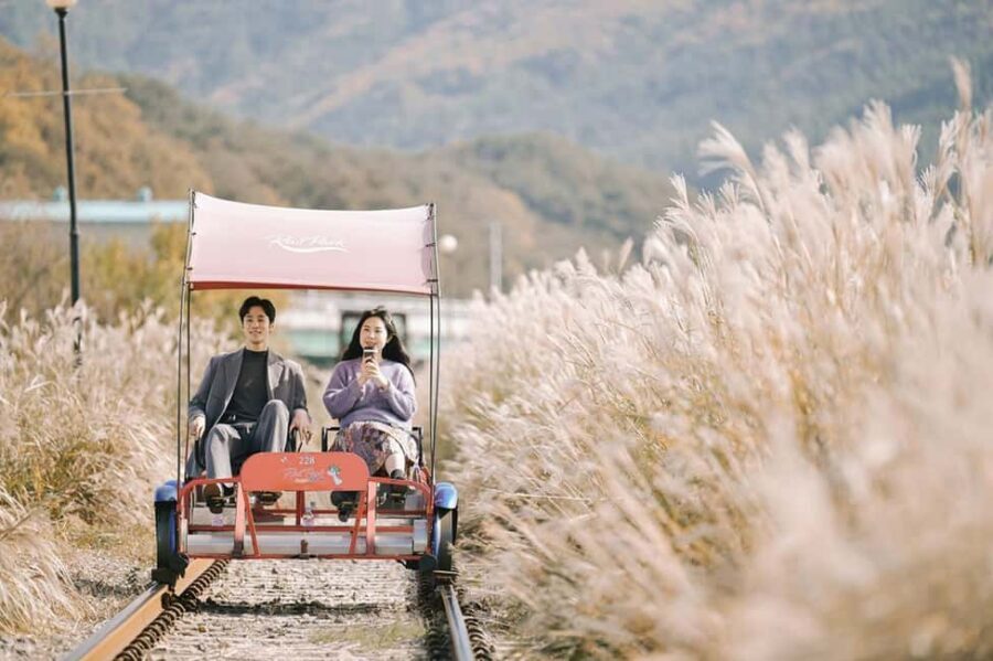 From Seoul: Nami Island, K-drama Garden & Rail Bike Day Tour - Gangchon Rail Park Rail Bike: the best kind of workout