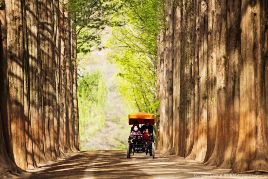 From Seoul: Nami Island, K-drama Garden & Rail Bike Day Tour - Should you book the Nami Island, Garden of Morning Calm & Rail Bike Day Tour?