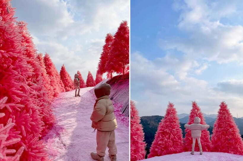 From Seoul: Pocheon, Sanjung Lake and Bidulginang Fall Trip - Key things I’d focus on before you go