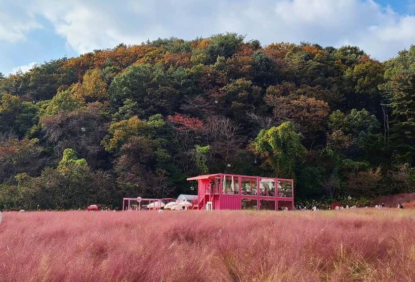 From Seoul: Pocheon, Sanjung Lake and Bidulginang Fall Trip - Stop One: Sanjung Lake for Autumn Color and Easy, Low-Stress Time