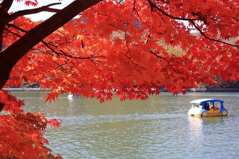 From Seoul: Pocheon, Sanjung Lake and Bidulginang Fall Trip - Herb Island: Plants, Fragrance, and Pink Muhly Grass Photo Season