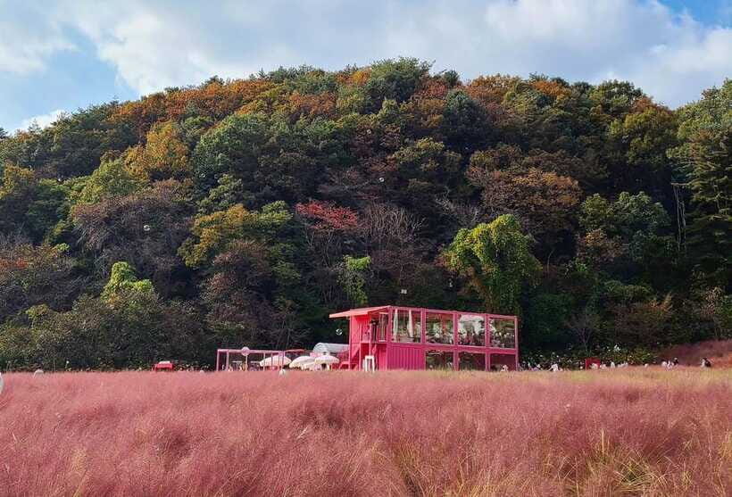 From Seoul: Pocheon, Sanjung Lake and Bidulginang Fall Trip - Tips to Make the Day Feel Easy
