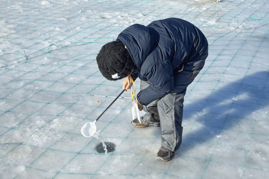 From Seoul: Pyeongchang Trout Festival - Who This Tour Works Best For
