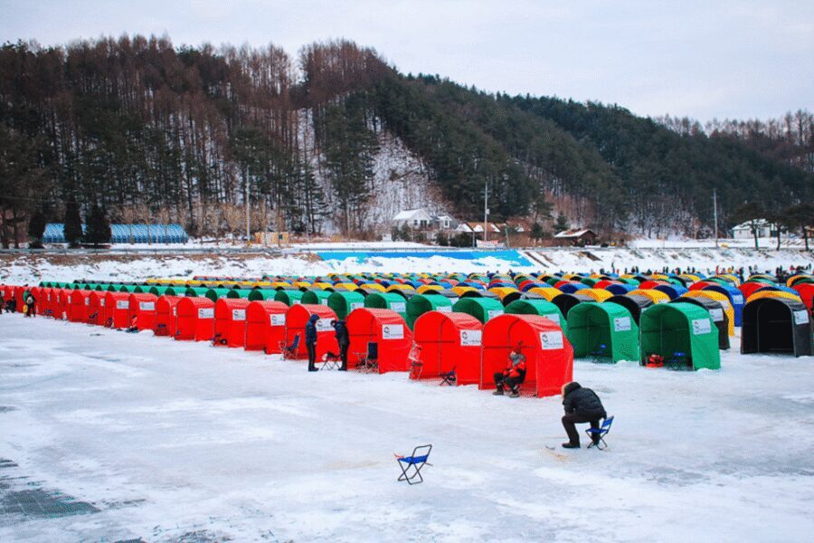 From Seoul: Pyeongchang Trout Festival - Beyond Fishing: Winter Activities for All Ages