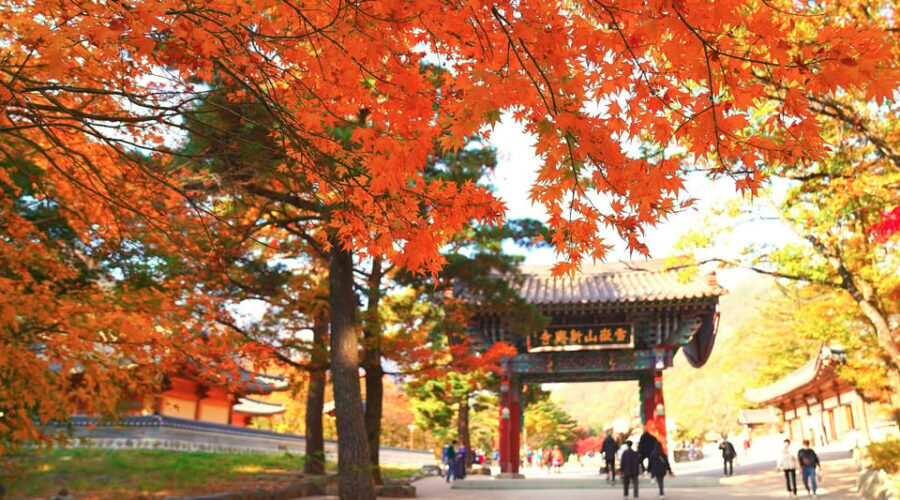 From Seoul: Seoraksan Mountain with Cable Car- Shuttle Bus - Getting to Seoraksan From Seoul (and why it matters)