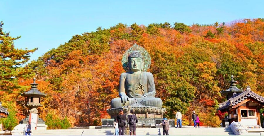 From Seoul: Seoraksan Mountain with Cable Car- Shuttle Bus - What to wear, bring, and do to avoid a rough day