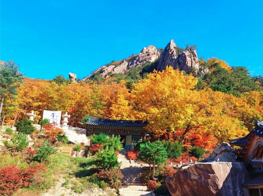 From Seoul: Seoraksan Mountain with Cable Car- Shuttle Bus - Who this tour is best for (and who should skip it)