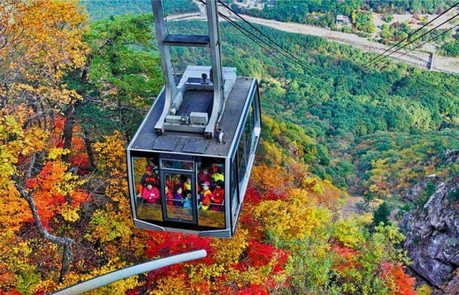From Seoul: Seoraksan Mountain with Cable Car- Shuttle Bus - Sinheungsa Temple: the 14m Gwaneumjeon Buddha you came for