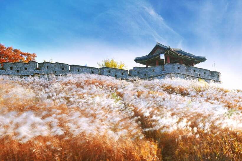 From Seoul: Suwon Hwaseong Fortress Tour - How the day runs from Myeongdong to Suwon (and back)