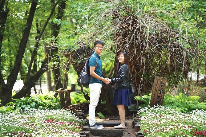 Full-Day Customizable Private Tour to Nami Island and surrounding Area - Elysian Gangchon Ski and Alpaca World: add energy or switch gears