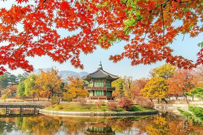 Full Day Private Seoul Tour for foodies - Morning start: Gyeongbokgung Palace without the wasted time