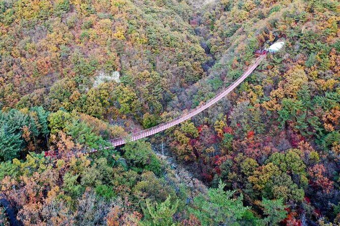 Full Day Private Tour DMZ (The 3rd Tunnel) & Suspension Bridge - Lunch, Tickets, and Where the $160 Price Makes Sense