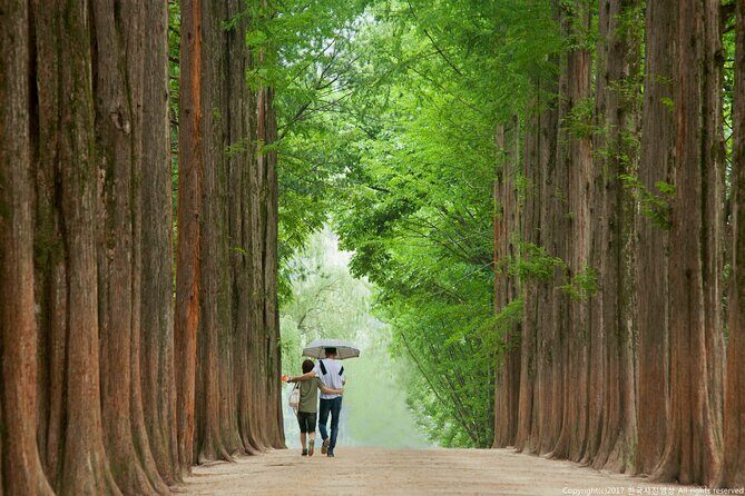 Full Day Private Tour Nami Island, Garden & Petite France - Lunch and the Switch to Petite France: Plan for Midday Energy