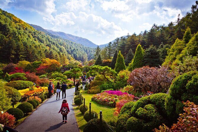 Full Day Private Tour Nami Island, Garden & Petite France - Pinocchio & Da Vinci Italian Village: Quirky Finale With a Long Walk Window