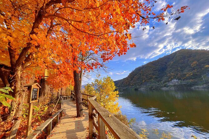 Full Day Private Tour Nami Island, Garden & Petite France - Price and Value for $260: What You’re Really Paying For